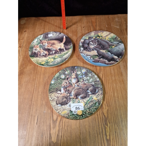 86 - Royal Doulton British Wildlife collectors plates