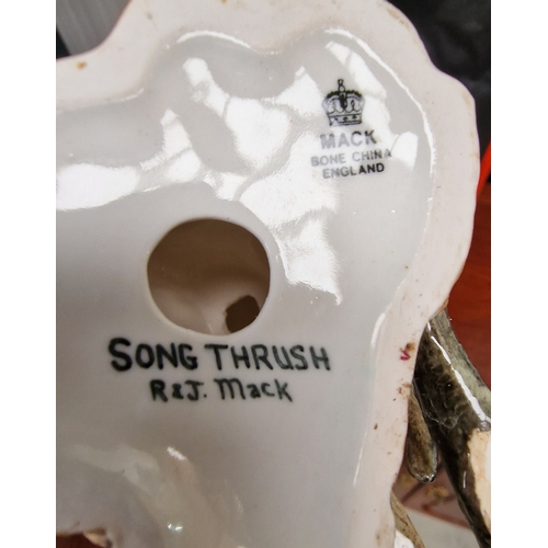 29 - Mack bone china 'Song Thrush'