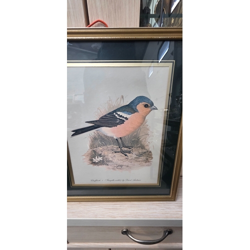 2 - 2 Bird prints by Davis Andrews