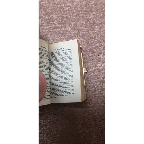 250 - Minature Bible