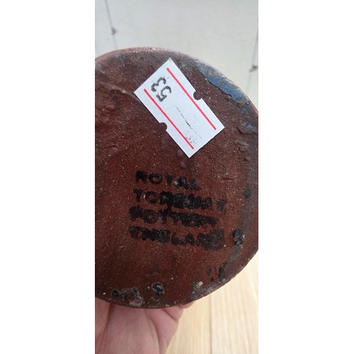 58 - Royal Torquay WARE Jug