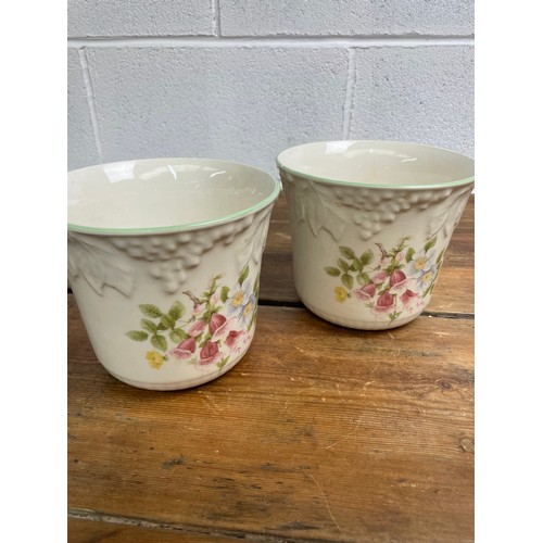 40 - Royal Couldon Plant Pots