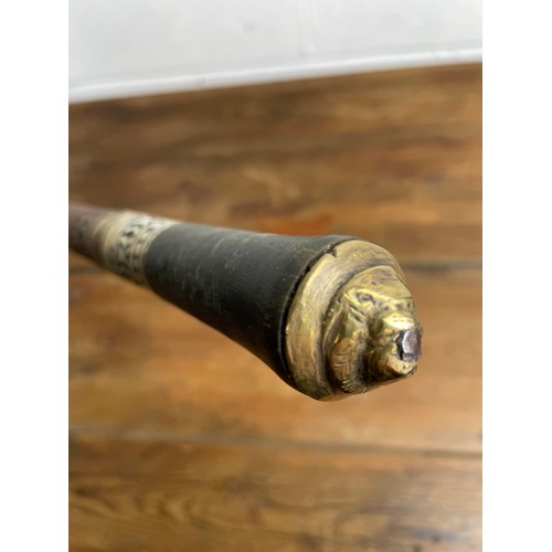 422B - Sword Stick With Bone & Brass Lion Head Detail