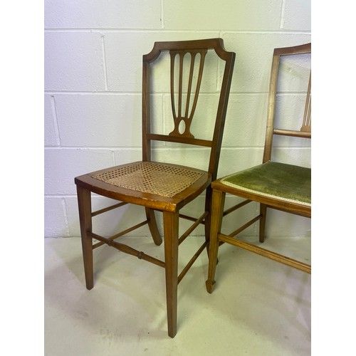 100 - Three Antique Edwardian Chairs