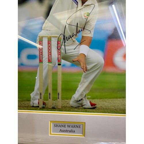 36B - Shane Warne Cricket hand signed autograph, mounted and framed