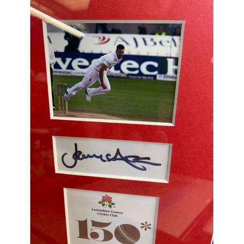 36F - James Anderson Cricket hand signed autograph mounted with other match ephemera