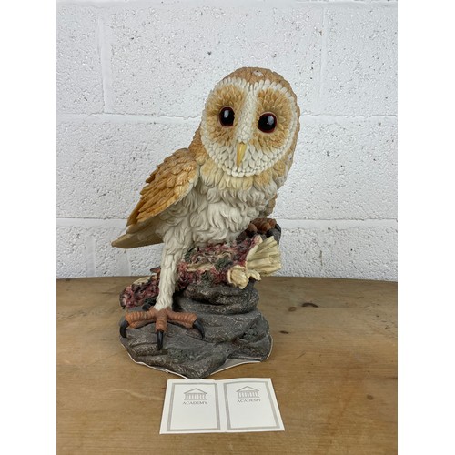 172 - Very Large Academy Barn Owl Sculpture 40cm tall