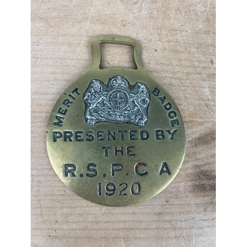 199 - 1920 R.S.P.C.A Horse Brass Merit Badge