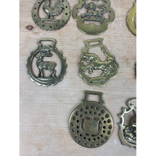 201 - Large Group Of Vintage Horse Brasses