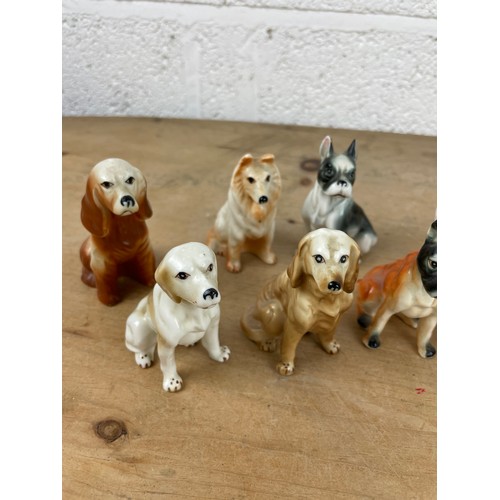 303 - Collection of 11 Vintage Fine Bone China Dog Figures