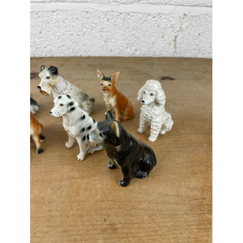 303 - Collection of 11 Vintage Fine Bone China Dog Figures