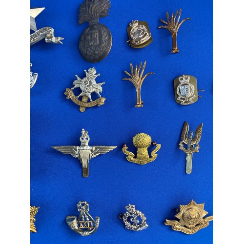 204 - 20 Military Cap Badges