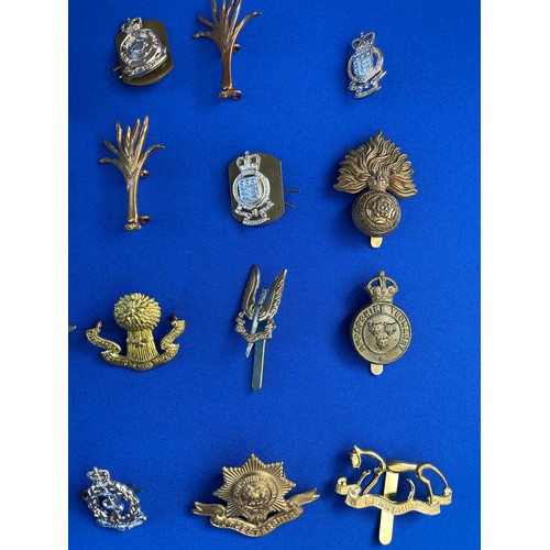 204 - 20 Military Cap Badges