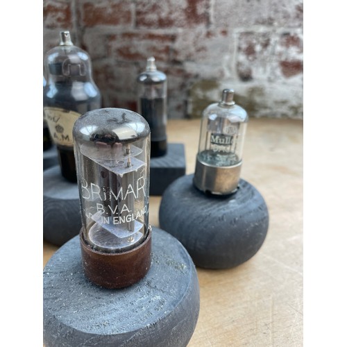 229 - Vintage Mounted Radio Valves