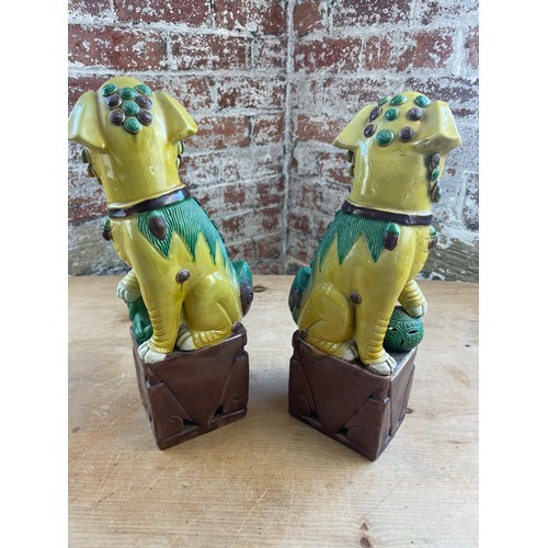 106 - Quality Pair Of Early 20th Century Chinese Export Foo Dogs 36cm Tall. Polychrome Glazed Famille Jaun... 