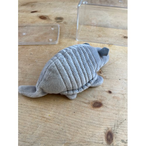 31 - Tank The Armadillo TY Beanie Baby 4th Generation Tags