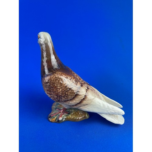 90 - Beswick Pigeon 1383 Two Stripes On  Wing