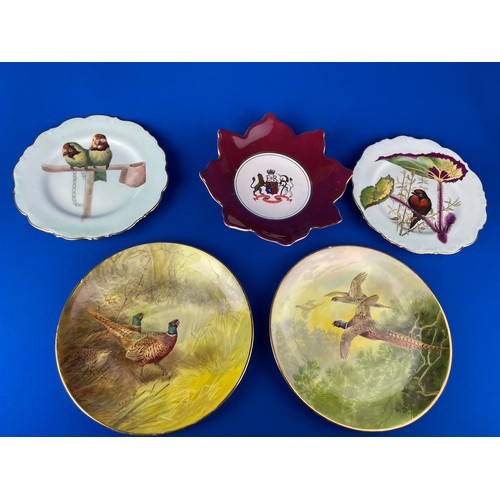 225 - Various Hand Painted & Collectable Plates Inc. Antique Cauldon