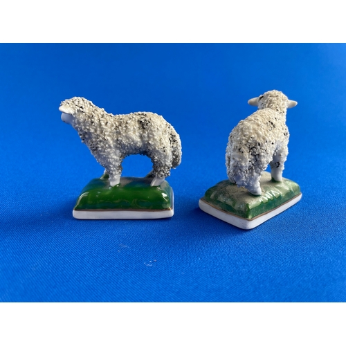 163 - Two Antique French Porcelain Miniature Sheep Figures With Applied Fleece