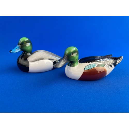 178 - Two Beswick Ducks. Shoveler & Greater Scaup.