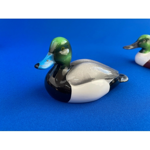 178 - Two Beswick Ducks. Shoveler & Greater Scaup.