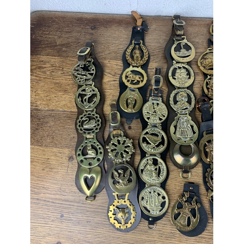 239 - Apprx. 65 Horse Brasses, Antique, Vintage and Collectable, all leather mounted