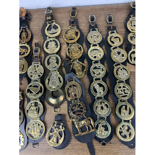 239 - Apprx. 65 Horse Brasses, Antique, Vintage and Collectable, all leather mounted