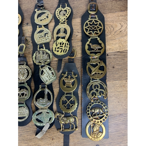 239 - Apprx. 65 Horse Brasses, Antique, Vintage and Collectable, all leather mounted