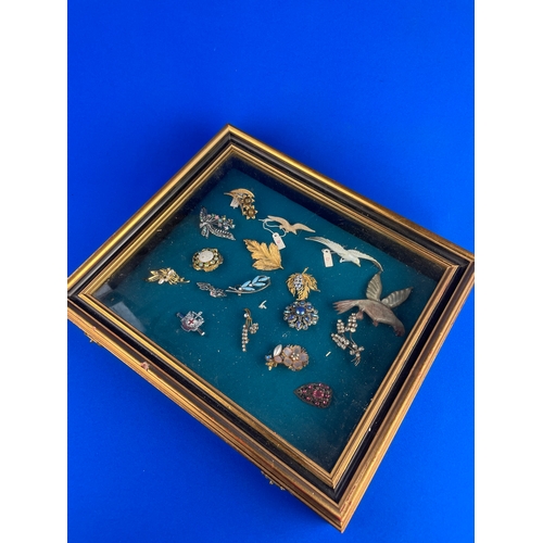 41 - Display Case With Vintage Brooches