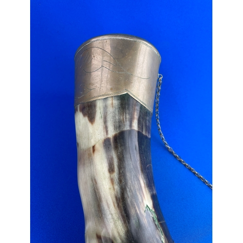 263 - Large Vintage Drinking Horn