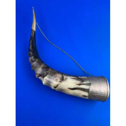 263 - Large Vintage Drinking Horn