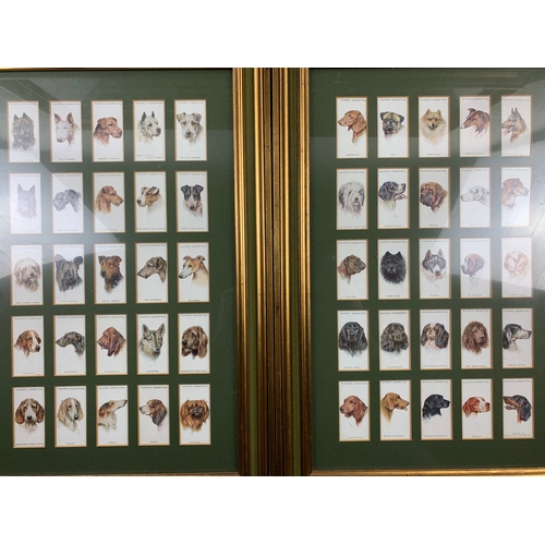 457 - Six sets of Framed Cigarette Cards Featuring Dogs - Wills's Cigarettes, Senior Service, and Players'... 