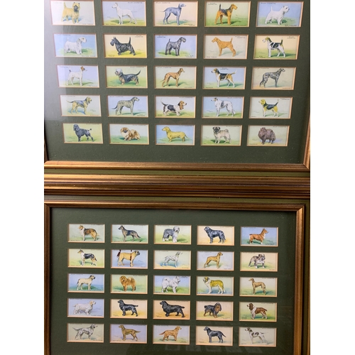 457 - Six sets of Framed Cigarette Cards Featuring Dogs - Wills's Cigarettes, Senior Service, and Players'... 