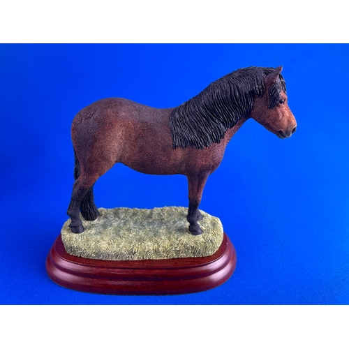 264 - Boarder Fine Arts Exmoor Stallion Boxed