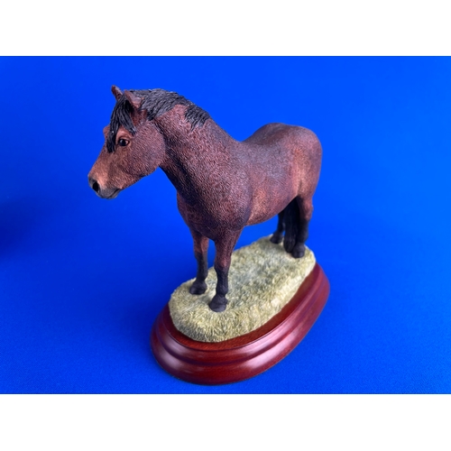 264 - Boarder Fine Arts Exmoor Stallion Boxed