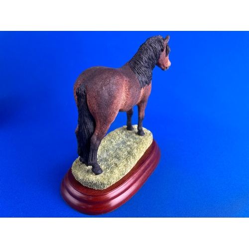 264 - Boarder Fine Arts Exmoor Stallion Boxed