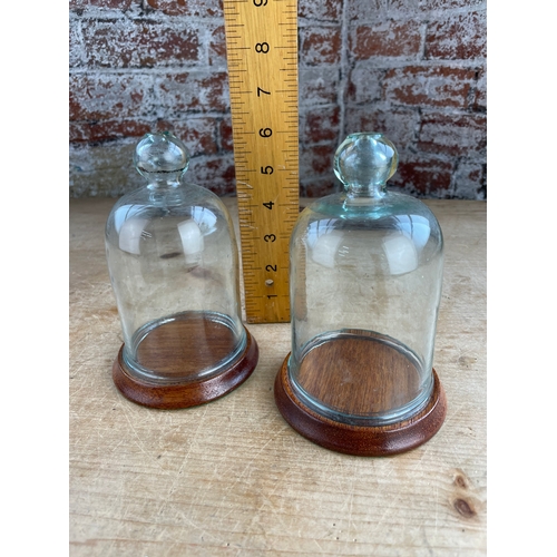 144 - Two Vintage Blown Glass Cloche Display Domes