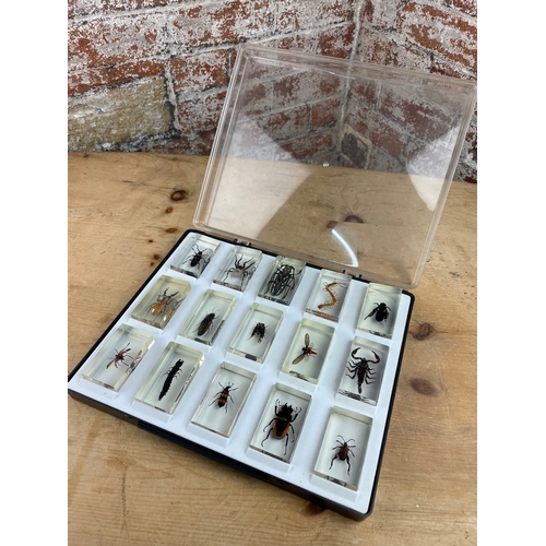 324 - 15 Bugs & Insects In Resin