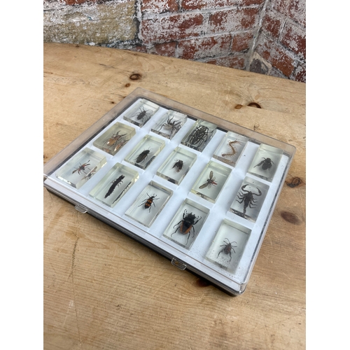 324 - 15 Bugs & Insects In Resin