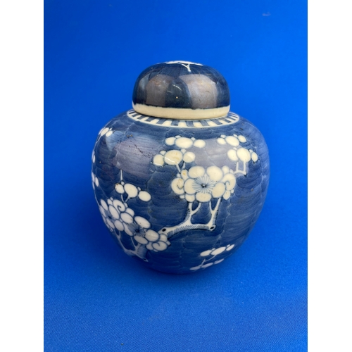 192 - Early 20th Century Chinese Prunus Ginger Jar