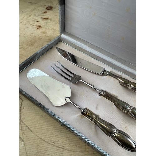 164 - Boxed 800 Silver Handled Cake Serving Set