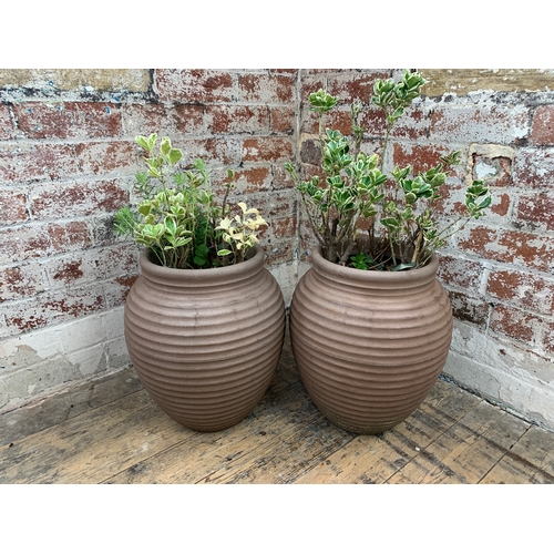 462 - Two Large Plastic Plant Pots with Established Plants