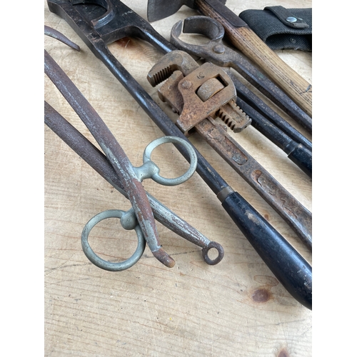 286 - Group Of Vintage Tools & Horse Item