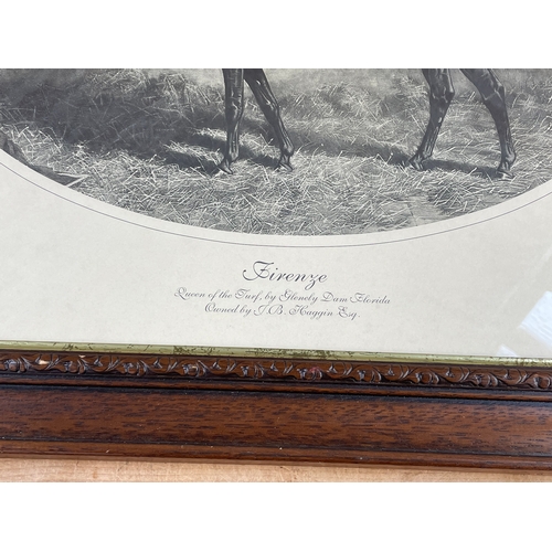 336 - Framed Vintage Picture Of Firenze The Race Horse