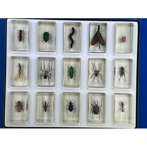 98 - 15 Bugs In Resin