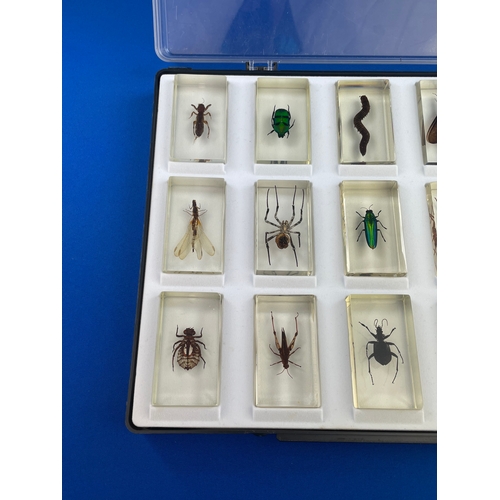 98 - 15 Bugs In Resin