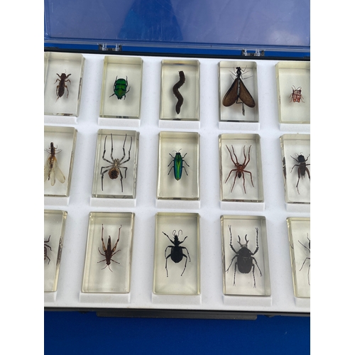 98 - 15 Bugs In Resin