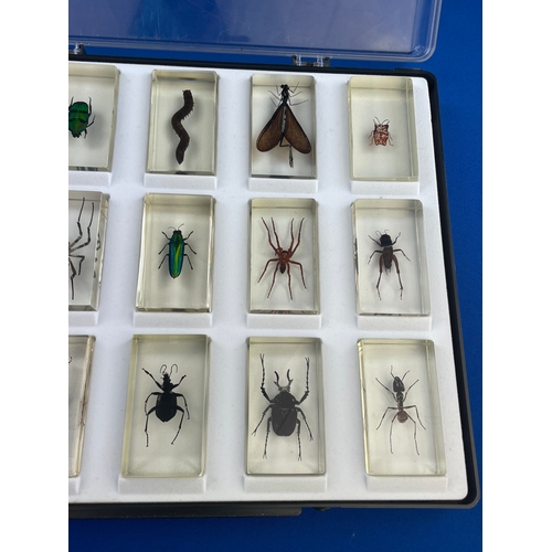 98 - 15 Bugs In Resin