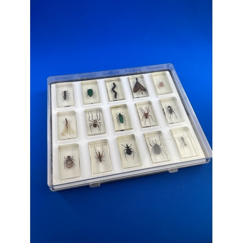 98 - 15 Bugs In Resin