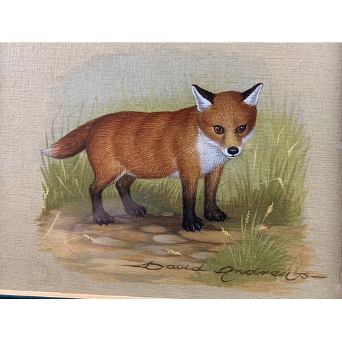 296 - David Andrews Acrylic Study of a Fox